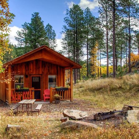 Вилла Yak Ridge Cabins And Farmstead By Mount Rushmore Кистон Экстерьер фото
