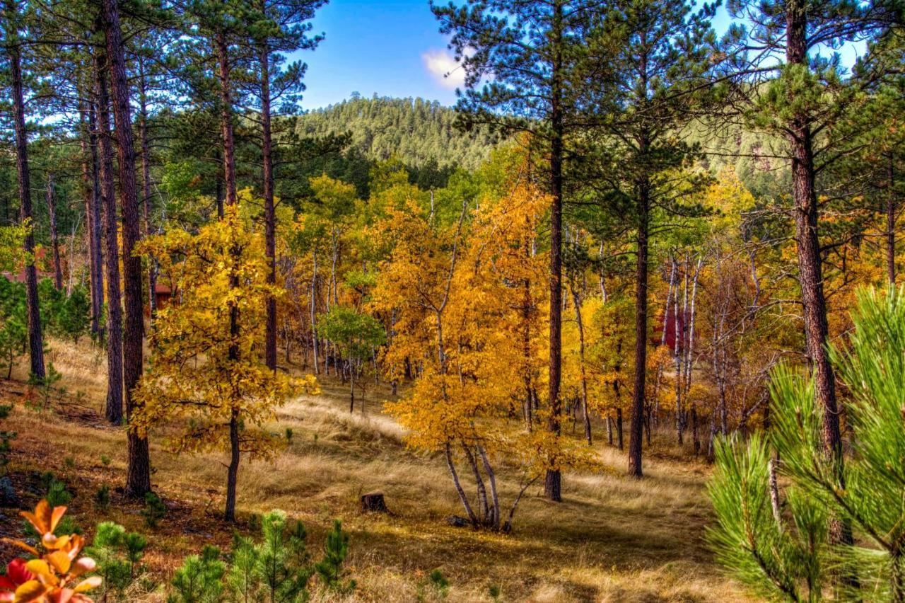 Вилла Yak Ridge Cabins And Farmstead By Mount Rushmore Кистон Экстерьер фото